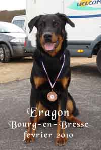 Eragon du Mas Roc Maria